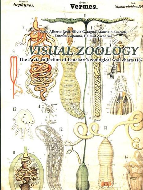 Visual zoology. The Pavia collection of Leuckart's zoological wall charts (1877). Con CD-ROM - C. Alberto Redi,Ernesto Capanna,Silvia Garagna - 5