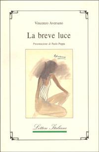 La breve luce-Zuco 'e vase - Vincenzo Aversano - copertina