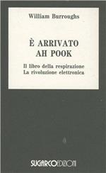 E' arrivato Ah Pook
