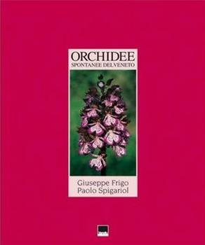 Libro Orchidee spontanee del Veneto Giuseppe Frigo , Paolo Spigariol , Michele Zanetti