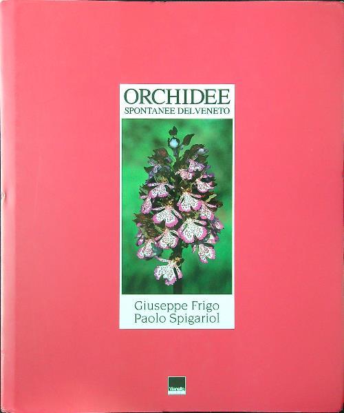 Orchidee spontanee del Veneto