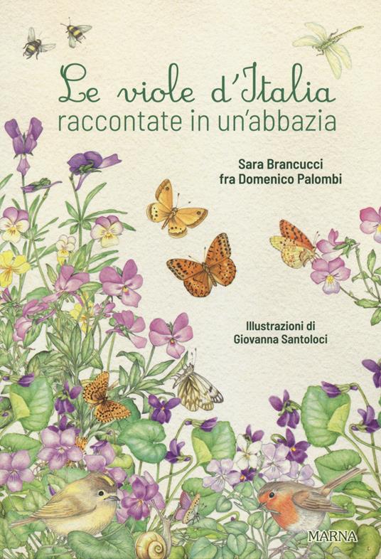 Le viole d'Italia raccontate in un'abbazia. Ediz. illustrata - Sara Brancucci,Domenico Palombi - copertina