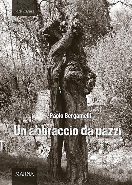 Un abbraccio da pazzi - Paolo Bergamelli - copertina