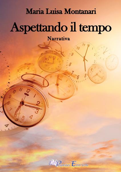 Aspettando il tempo - Maria Luisa Montanari - copertina