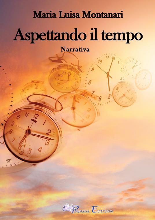 Aspettando il tempo - Maria Luisa Montanari - copertina