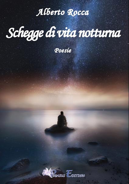 Schegge di vita notturna - Alberto Rocca - copertina