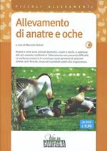 Allevamento di anatre e oche. DVD