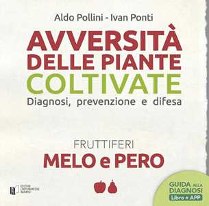 Libro Melo e pero. Con Contenuto digitale per download Aldo Pollini Ivan Ponti
