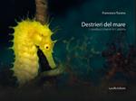 Destrieri del mare. I cavallucci marini in Calabria. Ediz. a colori
