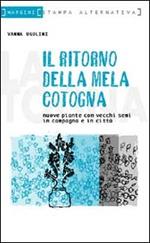 Il ritorno della mela cotogna. Nuove piante con vecchi semi