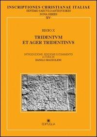 Inscriptiones christianae Italiae septimo saeculo antiquioresianae ita. Vol. 15: Regio X: Tridentum et ager tridentinus. - copertina