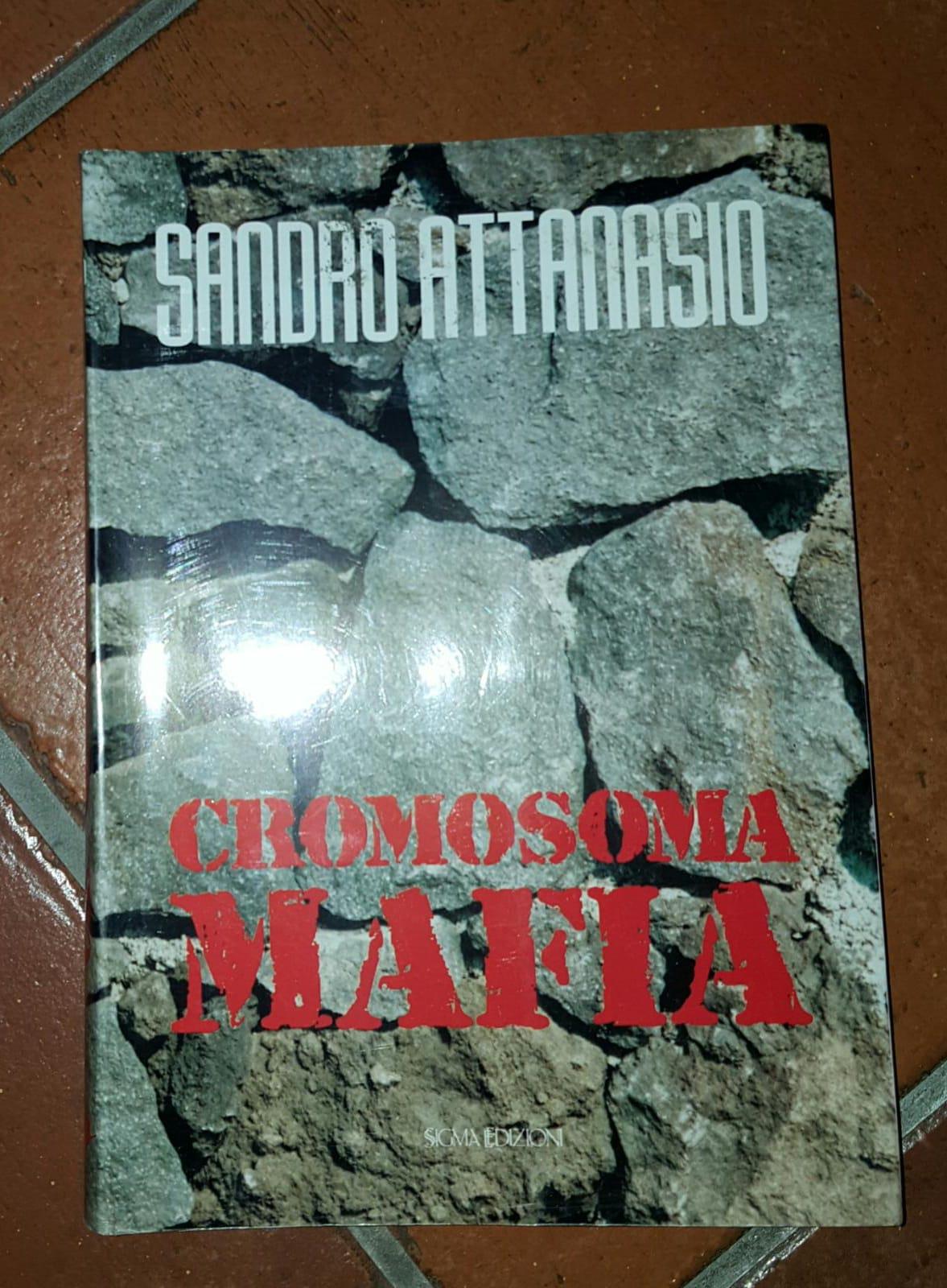 Cromosoma mafia