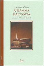 A fiamma raccolta