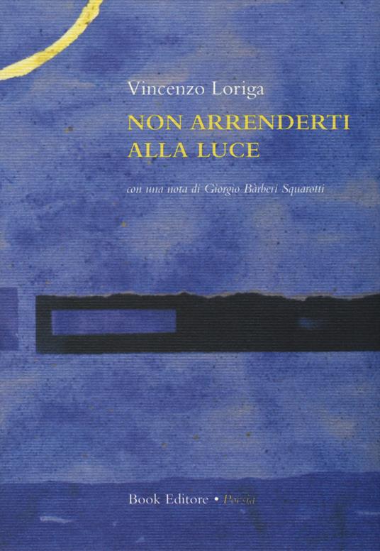 Non arrenderti alla luce - Vincenzo Loriga - copertina
