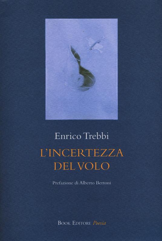 L'incertezza del volo - Enrico Trebbi - copertina