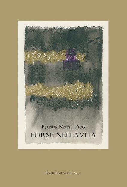 Forse nella vita - Fausto Maria Pico - copertina
