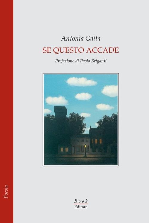 Se questo accade - Antonia Gaita - copertina