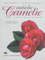 Antiche camelie del Lago Maggiore-Antique camellias of lake Maggiore