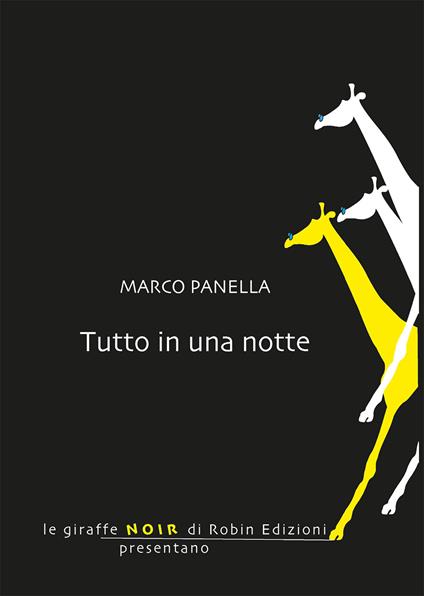 Tutto in una notte - Marco Panella - copertina