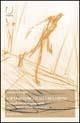 Libro I cicli sistemici di accumulazione Giovanni Arrighi