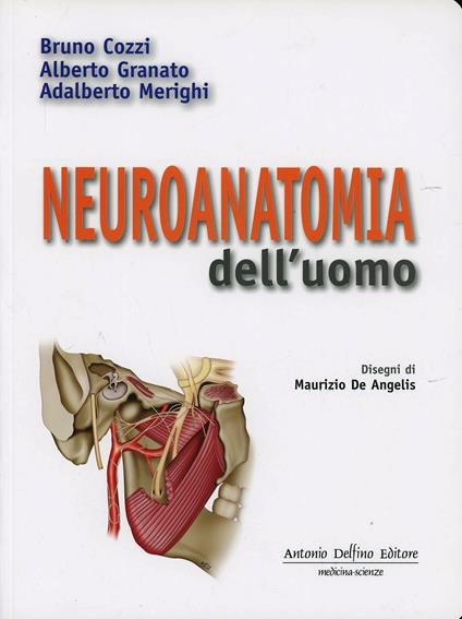 Neuroanatomia dell'uomo - Bruno Cozzi,Alberto Granato,Adalberto Merighi - copertina