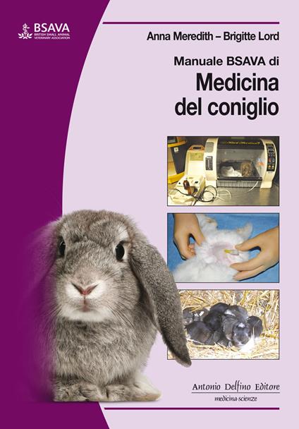 Manuale BSAVA di medicina del coniglio - Anna Meredith,Brigitte Lord - copertina