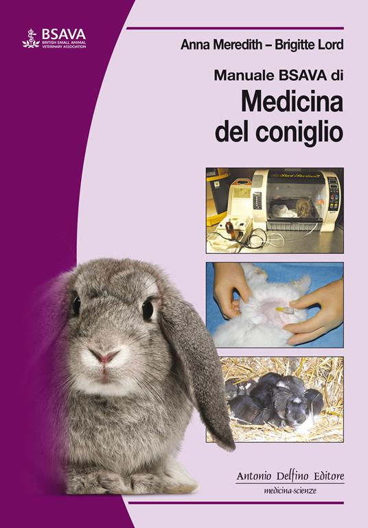 Manuale BSAVA di medicina del coniglio - Anna Meredith,Brigitte Lord - copertina