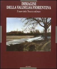 Immagini della Valdelsa fiorentina. Il cuore della Toscana collinare. Ediz. illustrata - copertina