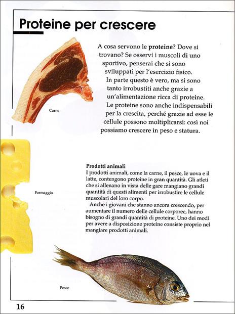 Cosa mangiamo? - Brian Knapp - 3