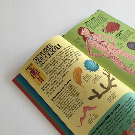 Costruisci il tuo scheletro e scopri come funziona il corpo umano. Ediz. illustrata. Con modellino - Richard Walker - 5