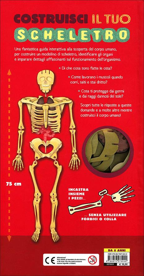 Costruisci il tuo scheletro e scopri come funziona il corpo umano. Ediz. illustrata. Con modellino - Richard Walker - 6
