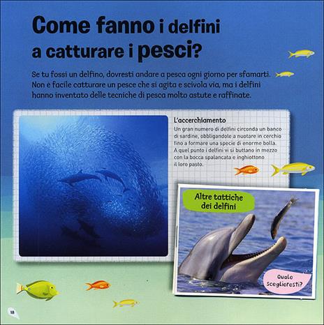 Il delfino - Delphine Grinberg - 3