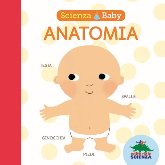 Anatomia. Scienza baby. Ediz. illustrata - Jonathan Litton - copertina