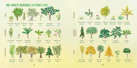 Con le mani nella terra. Alla scoperta del mondo vegetale. Ediz. a colori - Emanuela Bussolati - 7