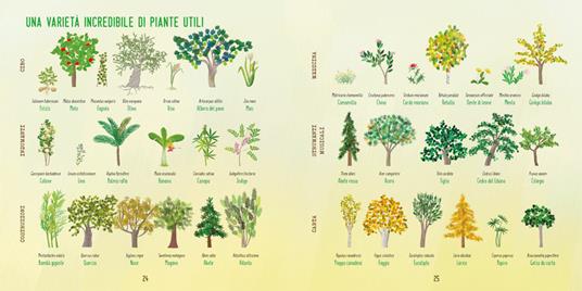 Con le mani nella terra. Alla scoperta del mondo vegetale. Ediz. a colori - Emanuela Bussolati - 7