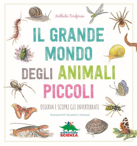 Il grande mondo degli animali piccoli. Osserva e scopri gli invertebrati - Nathalie Tordjman - copertina