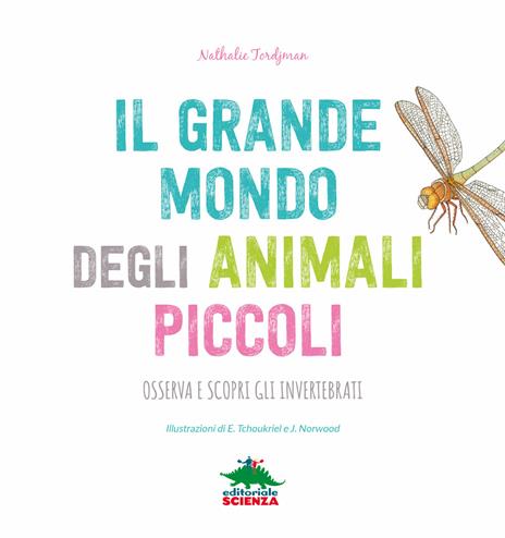 Il grande mondo degli animali piccoli. Osserva e scopri gli invertebrati - Nathalie Tordjman - 3