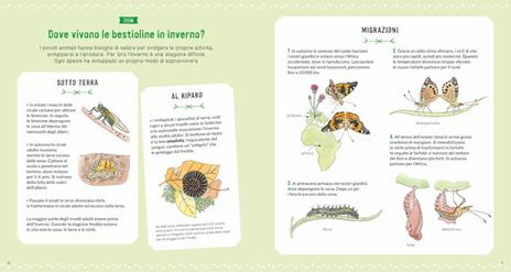 Il grande mondo degli animali piccoli. Osserva e scopri gli invertebrati - Nathalie Tordjman - 5