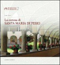 La certosa di Santa Maria di Pesio - Carlo Tosco - copertina