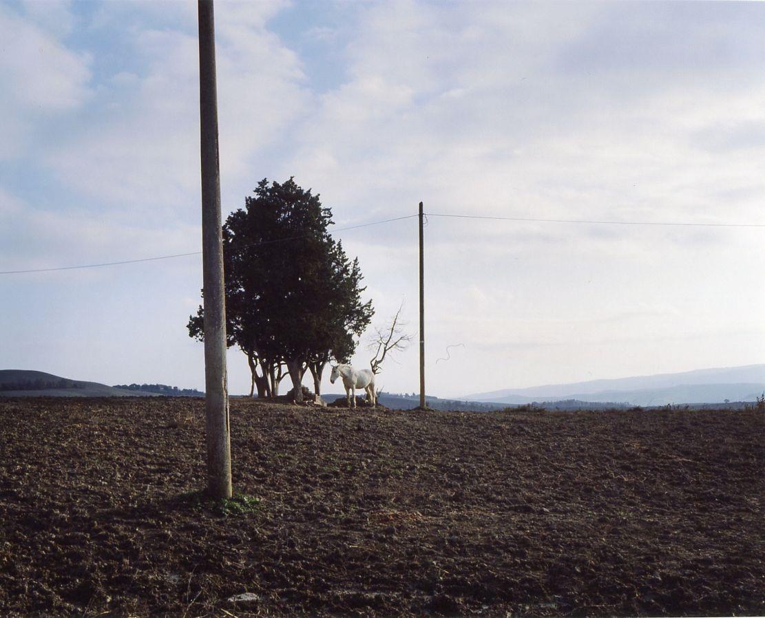 Carlo Vigni. Paesaggi privati (1996-2012). Ediz. illustrata