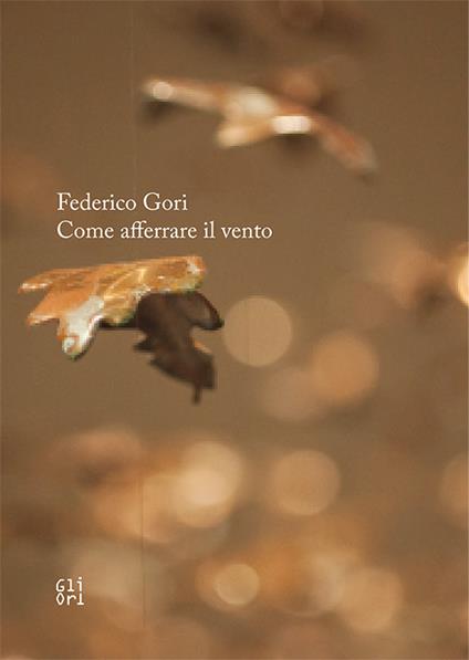 Federico Gori. Come afferrare il vento - Marco Pierini,Niccolò Bonechi - copertina