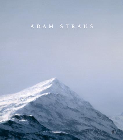 Adam Strauss. Ediz. illustrata - Amei Wallach,Adam Straus - copertina