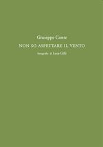Non so fermare il vento
