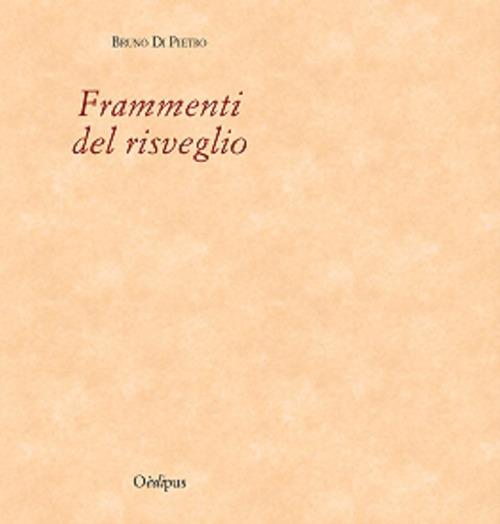 Frammenti del risveglio - Bruno Di Pietro - copertina