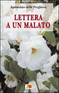 Libreria La Cometa