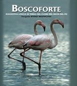 Boscoforte. Ediz. illustrata