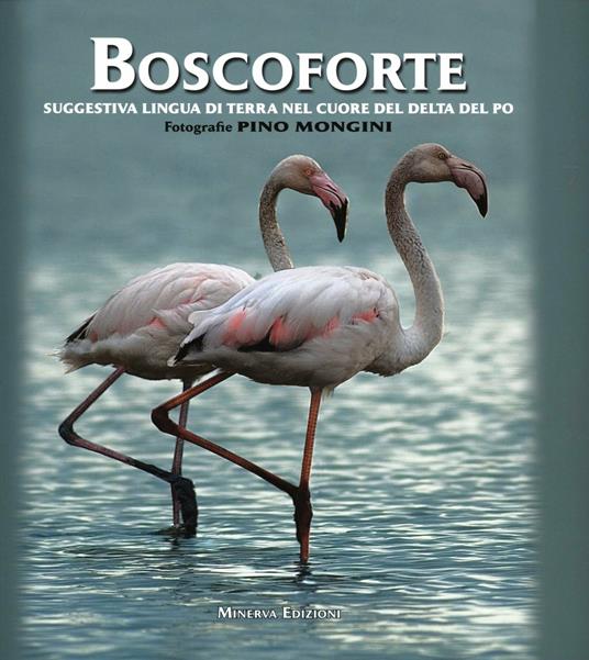 Boscoforte. Ediz. illustrata - copertina