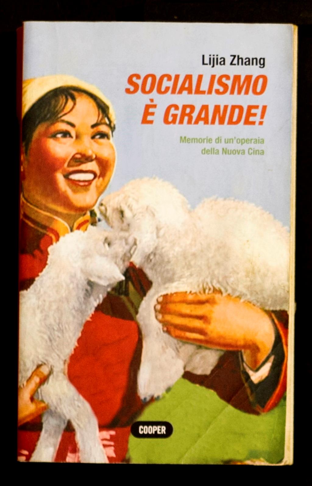 Libreria Trippini Sergio