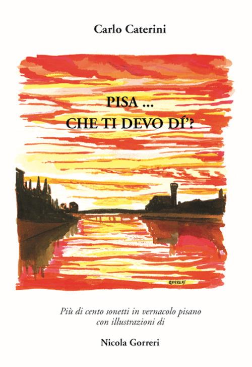 Pisa... Che ti devo dì? Più di cento sonetti in vernacolo pisano  - Carlo Caterini - copertina