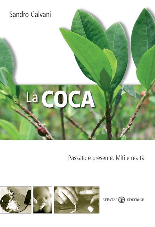 La coca. Passato e presente. Mito e realtà - Sandro Calvani - copertina